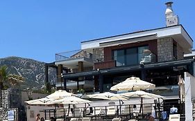 Casa Mimosa Hotel  5*